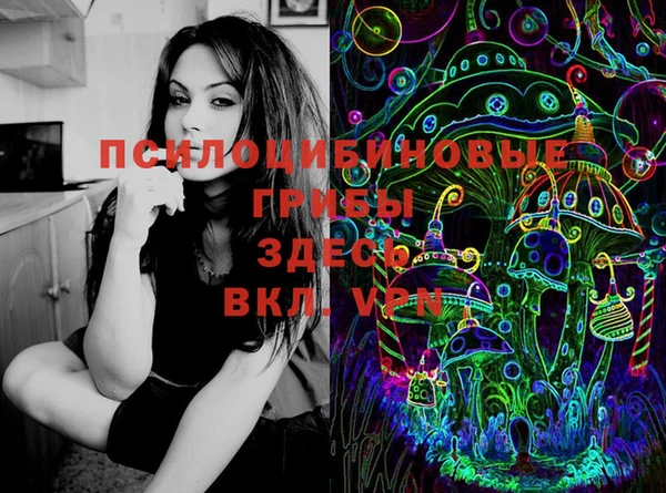MDMA Premium VHQ Алзамай